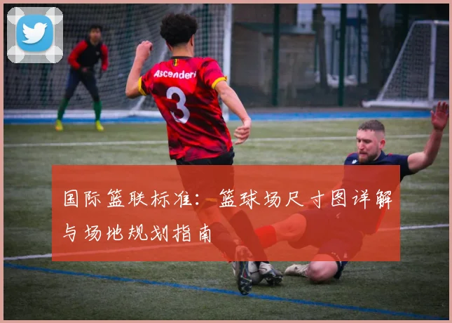 国际篮联标准：篮球场尺寸图详解与场地规划指南