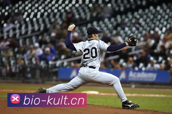 大阳城集团资料大全平台生态图